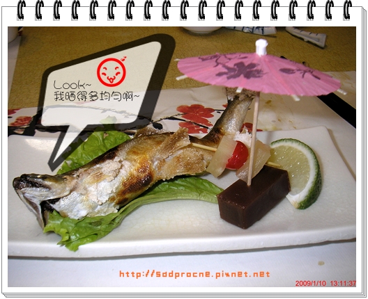 日光浴的魚2 日光浴的魚2