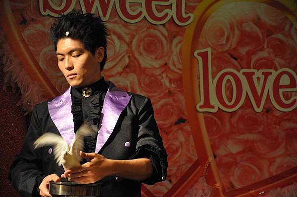 魔術白鴿 魔術白鴿