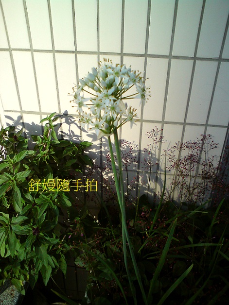 20130929 20130929