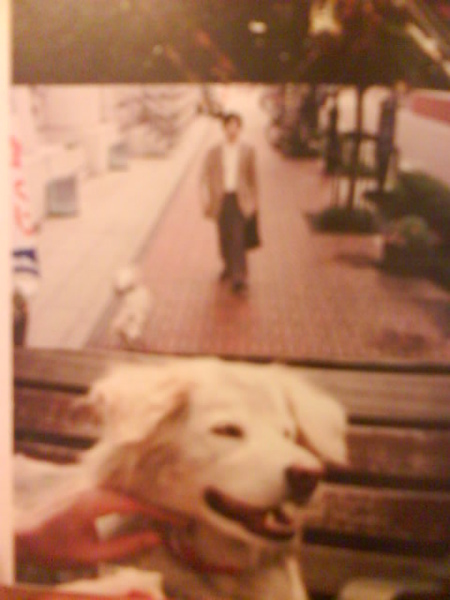 DSC00113.JPG