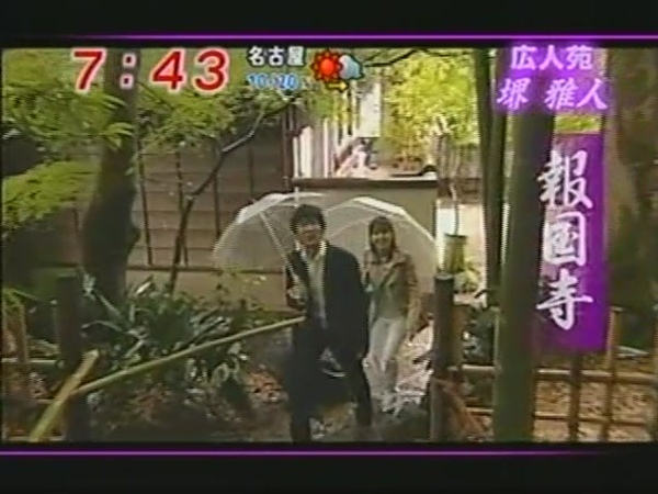 竹林.JPG