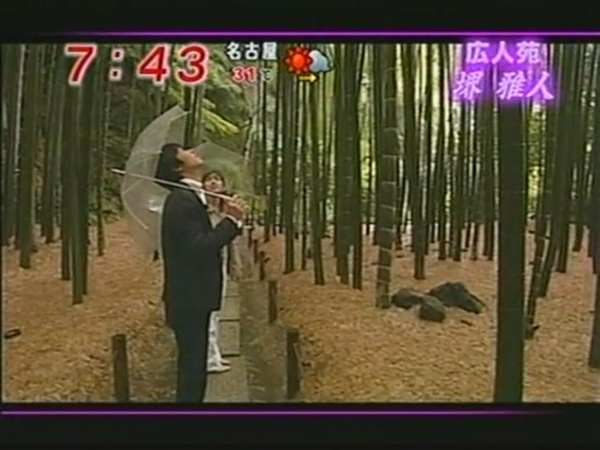 竹林2.JPG