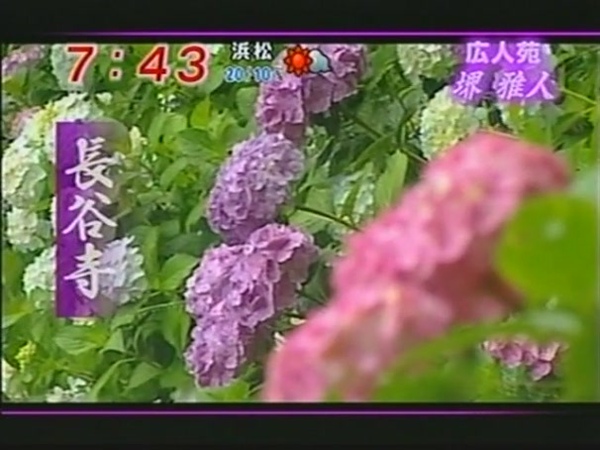 花.JPG