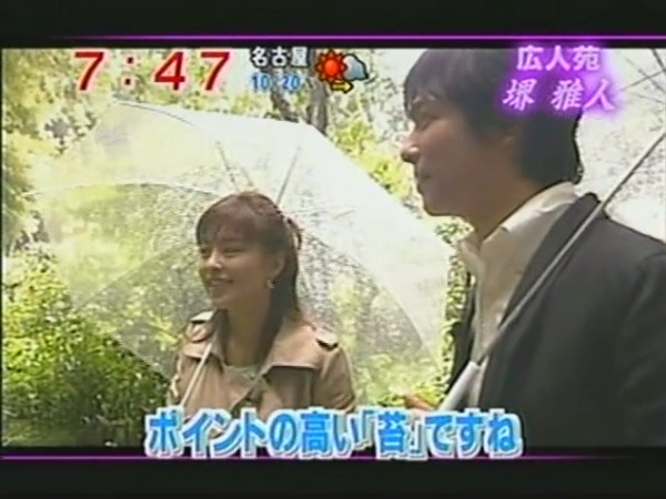 苔.JPG