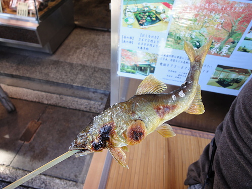 DSC00420