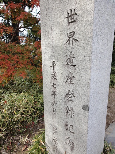 DSC01553