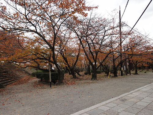 DSC02207
