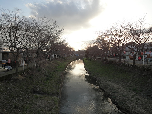 DSC08293