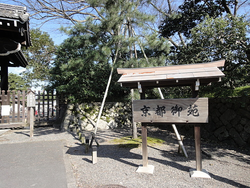 DSC08495