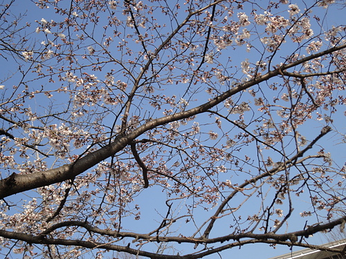 DSC08509