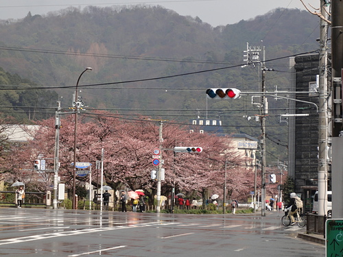 DSC08680