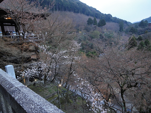 DSC08738