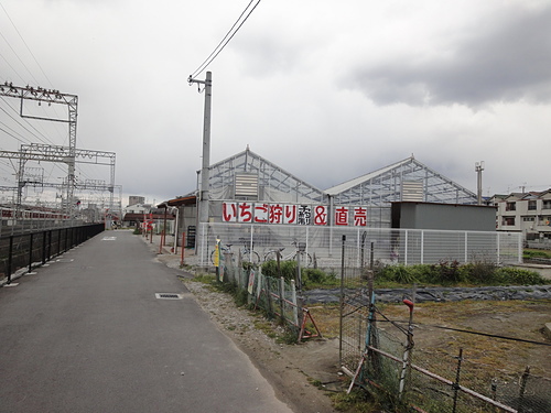 DSC08832
