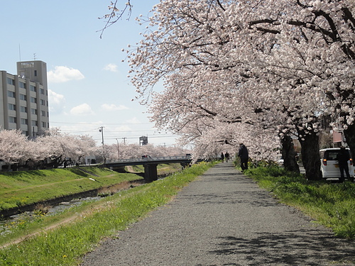 DSC09008