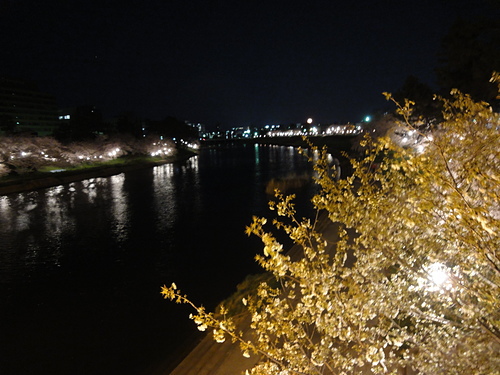 DSC09109