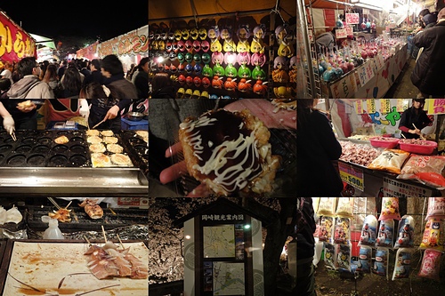 DSC09133a