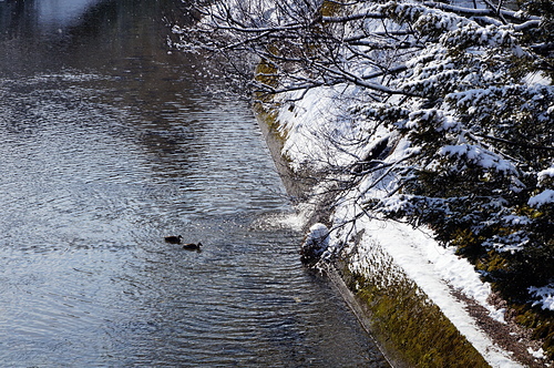 DSC00608