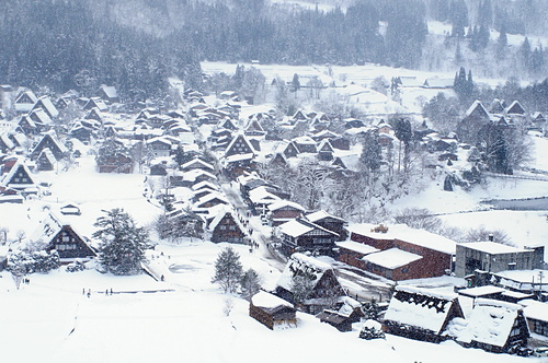 DSC00686