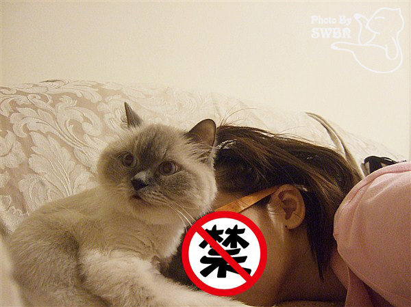 017_萵掛.jpg 017_萵掛.jpg