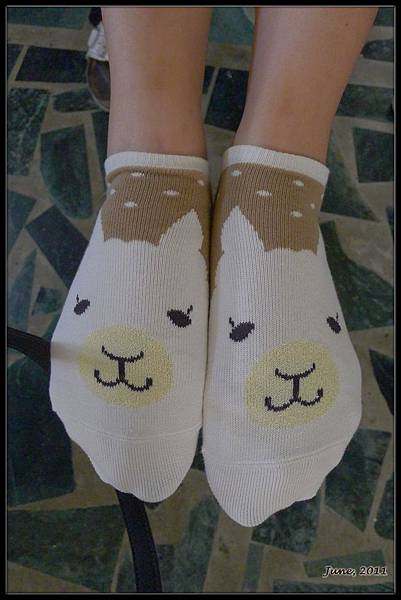 t_P1010158.jpg t_P1010158.jpg