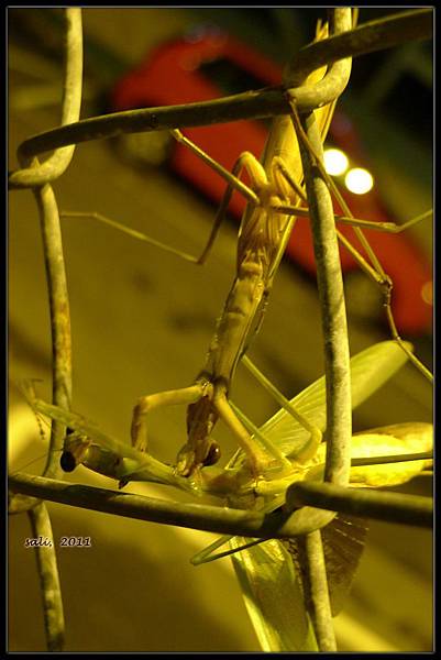 t_P1010190.jpg t_P1010190.jpg