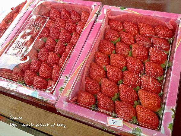大湖草莓季2 (1).jpg 大湖草莓季2 (1).jpg