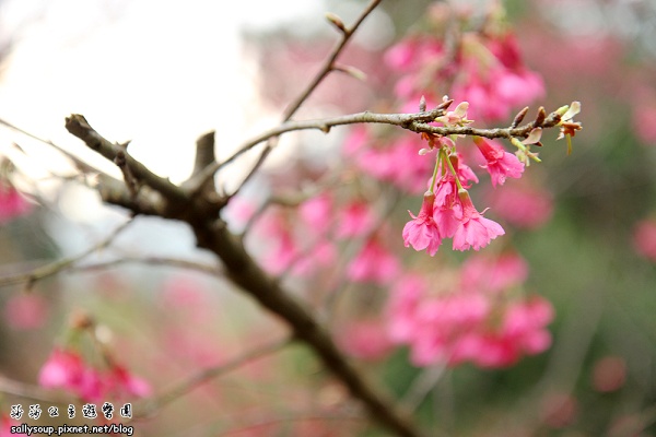 IMG_8953.jpg