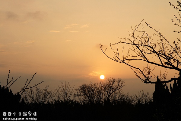 IMG_8997.jpg