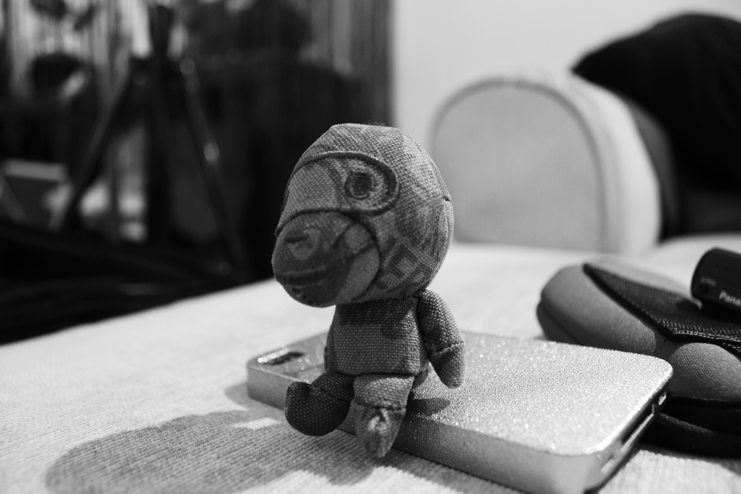 MONKEY.JPG MONKEY.JPG