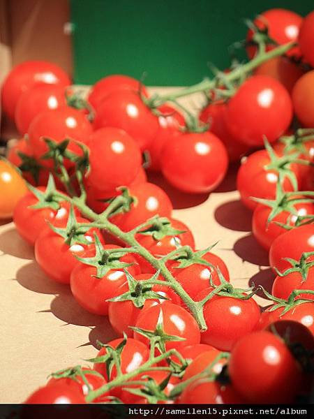 PhotoCap_950.jpg PhotoCap_950.jpg