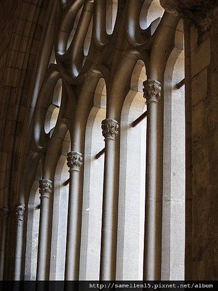 PhotoCap_1076.jpg PhotoCap_1076.jpg