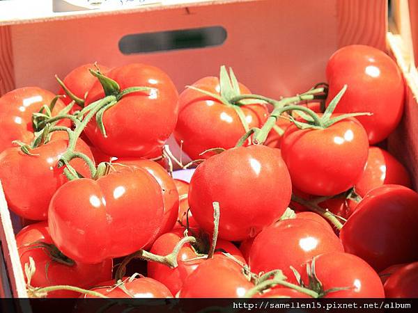 PhotoCap_951.jpg PhotoCap_951.jpg