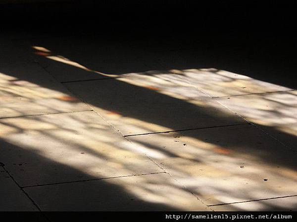 PhotoCap_1071.jpg PhotoCap_1071.jpg