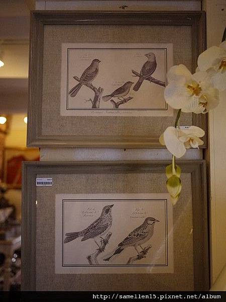 PhotoCap_1810.jpg PhotoCap_1810.jpg