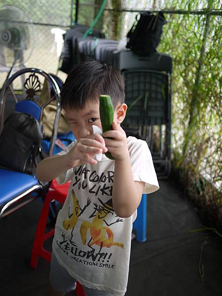 P1470024 P1470024