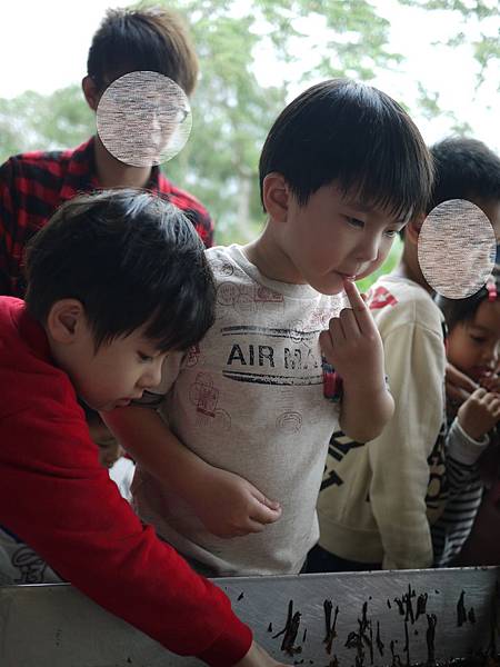 P1530475_1 P1530475_1