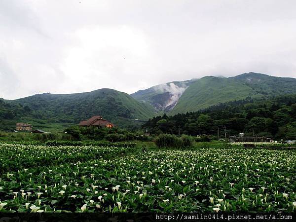 562406_361682337282798_108286734_n