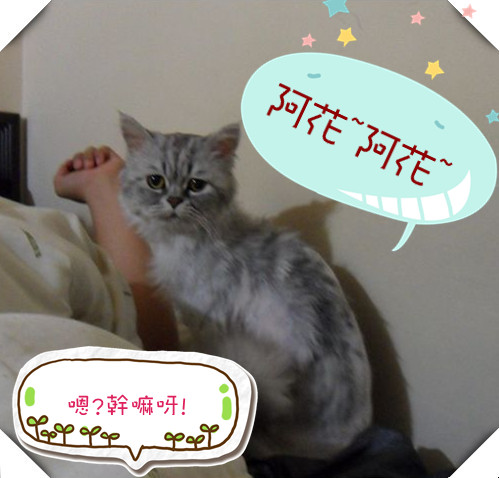 SAM_4635(001)_副本_副本_副本