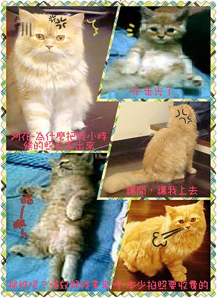 DSC00300_副本_副本