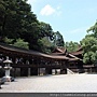 IMG_8739 copy