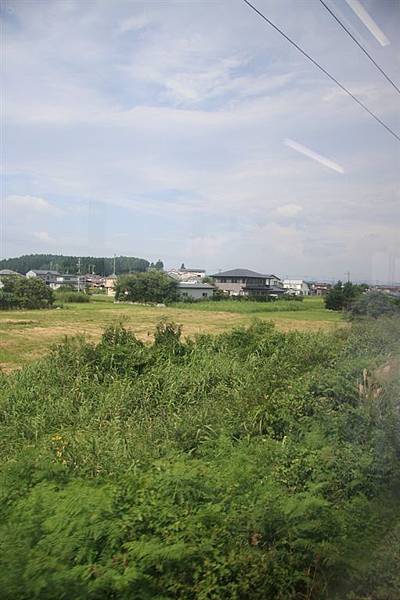 IMG_0882.jpg IMG_0882.jpg