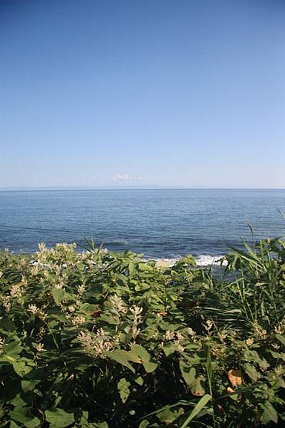 IMG_9211.jpg IMG_9211.jpg