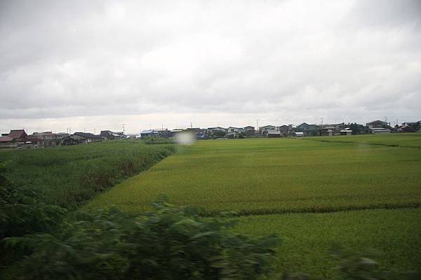 IMG_0992.jpg IMG_0992.jpg