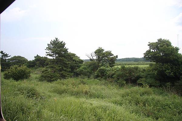 IMG_0899.jpg IMG_0899.jpg