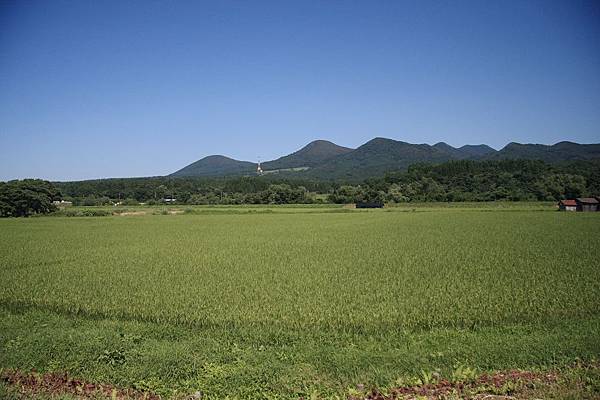 IMG_9178.jpg IMG_9178.jpg