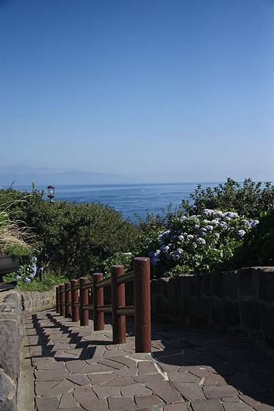 IMG_9023.jpg IMG_9023.jpg