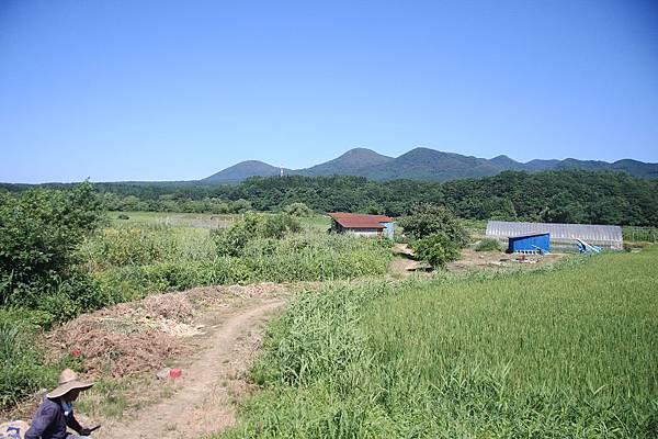 IMG_9181.jpg IMG_9181.jpg