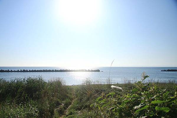 IMG_8979.jpg IMG_8979.jpg