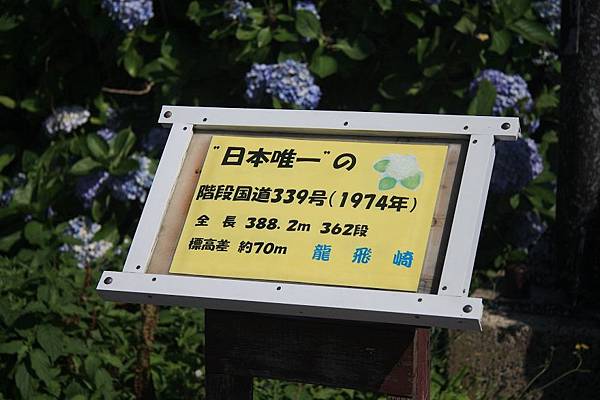 IMG_9022.jpg IMG_9022.jpg