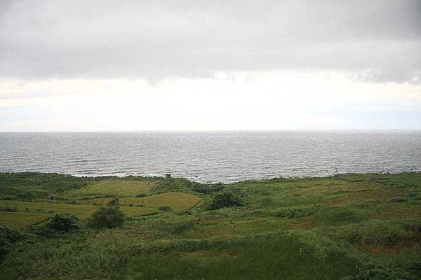 IMG_1102.jpg IMG_1102.jpg